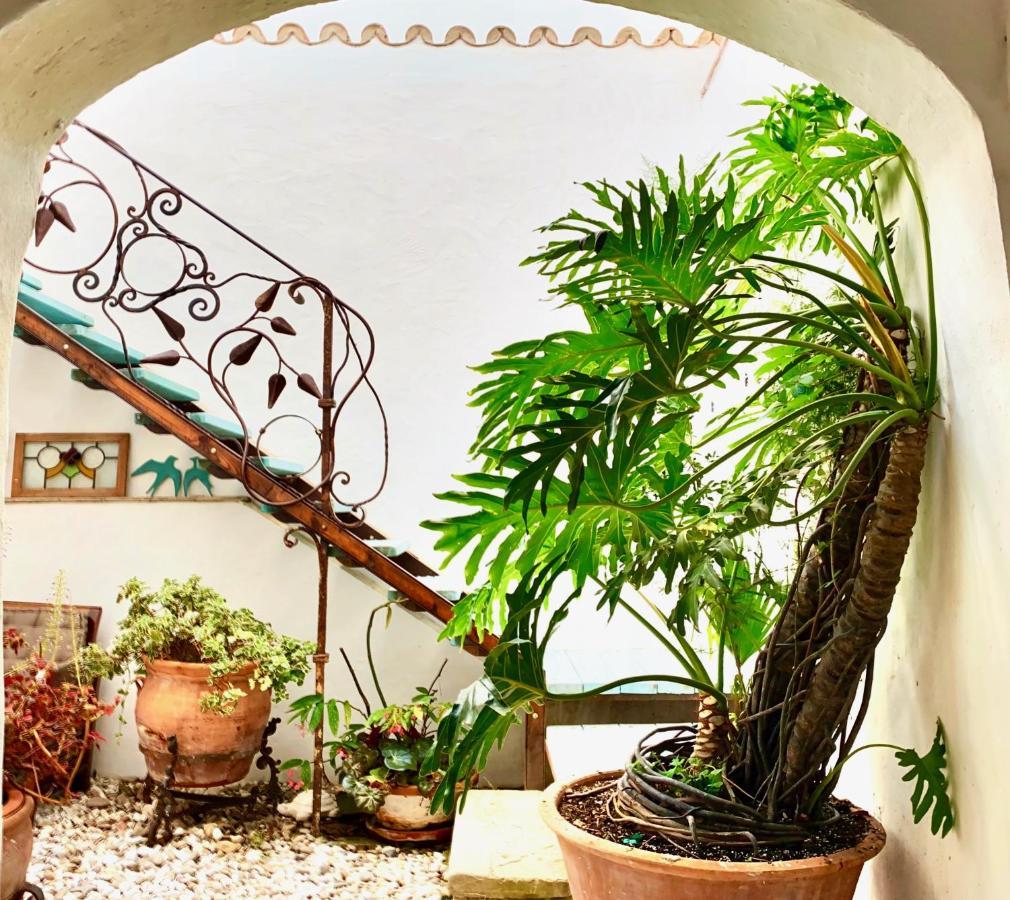 贝赫尔-德拉弗龙特拉Casa Del Teatro Luxury Casas Vejer Debra别墅 外观 照片