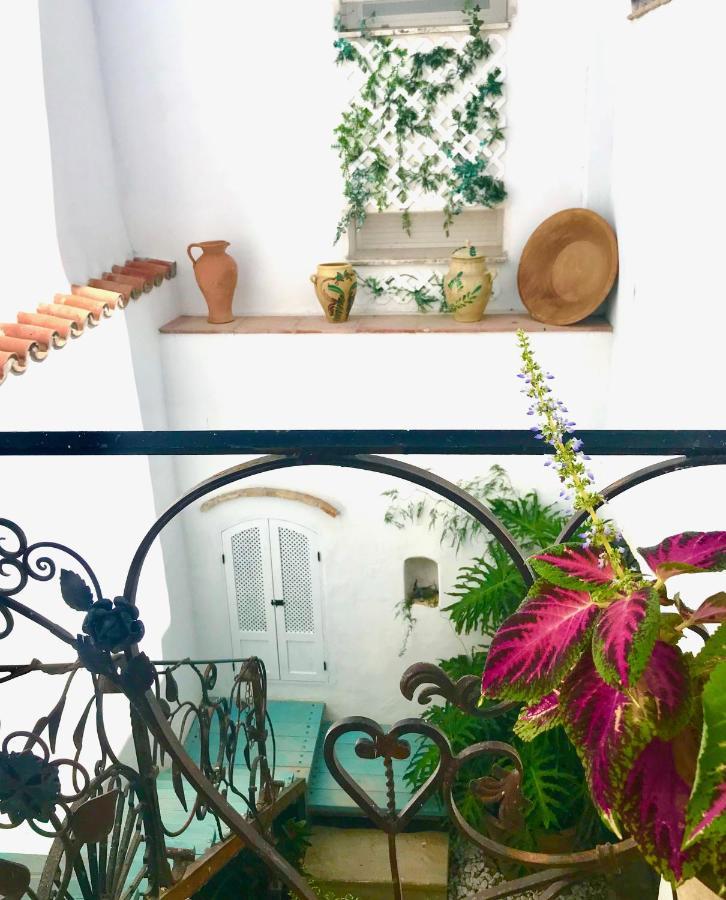 贝赫尔-德拉弗龙特拉Casa Del Teatro Luxury Casas Vejer Debra别墅 外观 照片